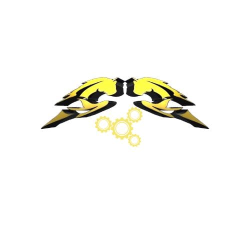 First Image