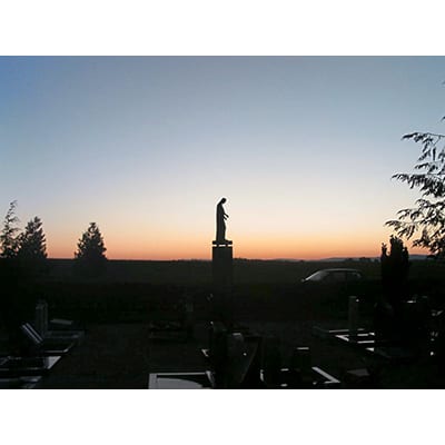 First Image